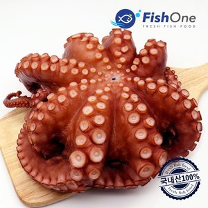 /goods/469/15019469_l.jpg