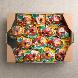[작심밀도]산지직송 농협 충주세척사과 3kg(12-16과/특품)