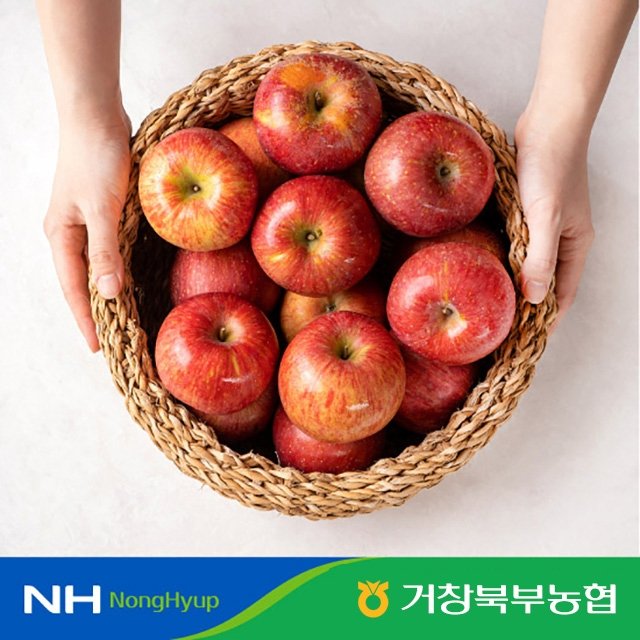 [특등급] 거창북부농협 부사 4kg (215~250g / 16~19과)