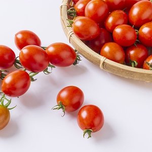 [작심밀도]달곰 대추방울토마토2kg 소과(4-5번)