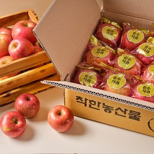 실속형 껍질채먹는 순수 부사 세척사과 2.5kg 꼬마소과