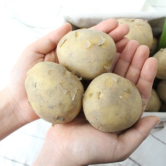 [팔도농장] 25년 수확 햇 수미감자(대) 5kg