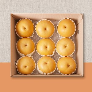 나주 배(신고) 가정용 5kg 6-13과