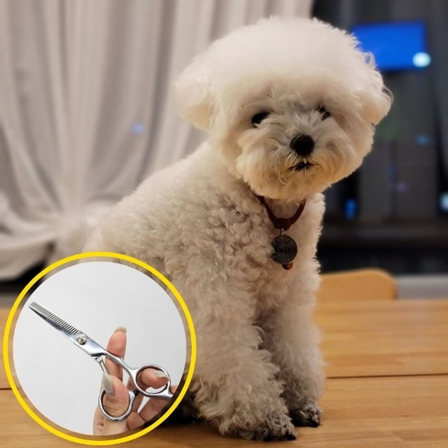 스텐레스 미용 이발 숱치기 틴닝가위 (WFJ0RKO)