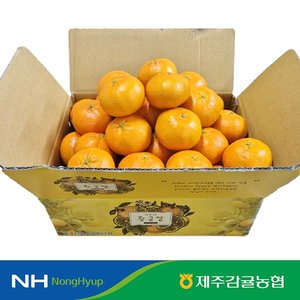 2026 특등급 제주감귤농협 햇 레드향 3kg
