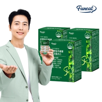 퍼니트 기억력 혈행개선 은행잎추출물 징코플러스 3박스 3개월분