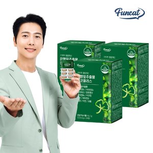 퍼니트 기억력 혈행개선 은행잎추출물 징코플러스 3박스 3개월분