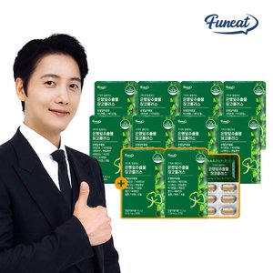[8+2] 퍼니트 기억력 혈행개선 은행잎추출물 징코플러스 10박스 10개월분