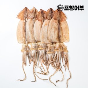 [포항어부]구룡포 반건조오징어 5마리 (350g내외)/원양산