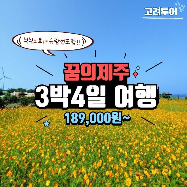[고려투어]꿈의 제주여행 3박4일 실속패키지