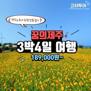 [고려투어]꿈의 제주여행 3박4일 실속패키지