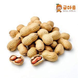 귤마을 국내산 햇 땅콩 500g