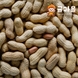귤마을 국내산 햇 땅콩 1kg