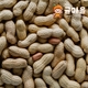 24018508_상품대표이미지