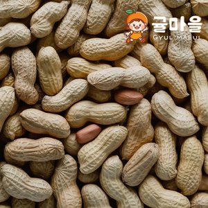 /goods/509/24018509_l.jpg