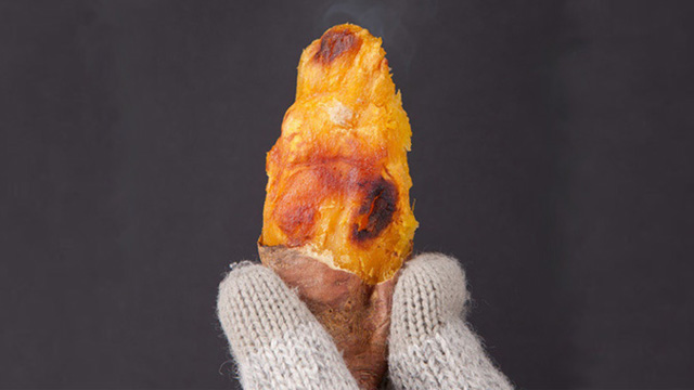 해남 꿀고구마 10kg 대