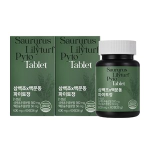 [이롭핏] 삼백초 맥문동 파이토정 60정 X 2박스