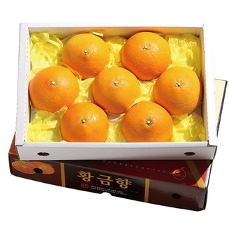 조은돌담 황금향 선물세트 4.5kg대과(13-15과, 실중량)가방포함