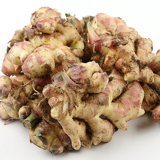흙생강 특품 5kg