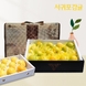 제주직송 황금향 선물세트 2kg 중과(11-15과)(박스제외중량)