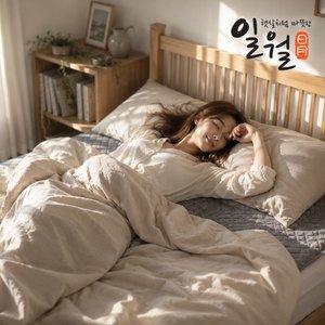[일월] 블랙오닉스 초절전형 워셔블 카본 탄소 전기매트 / 카본매트 더블
