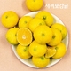 17033556_상품대표이미지