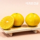 17033557_상품대표이미지