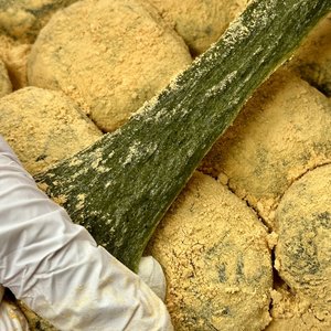 명가삼대떡집 30년 전통 쑥떡 쑥인절미 100g x (10개입)+ 콩고물 증정 