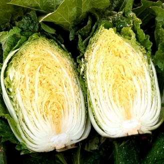 해남 스테비아 절임배추 20kg (6~9포기) / GAP인증