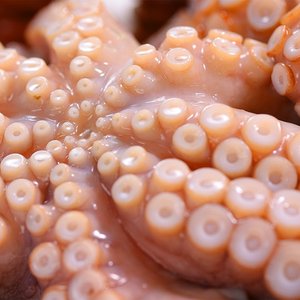 [수산대전] 신토불이 국내산 자연산 손질문어130g*8팩