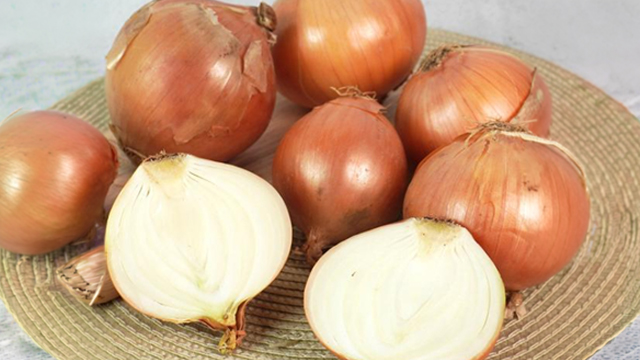 국내산 단단한 경남 햇 양파 10kg (대)