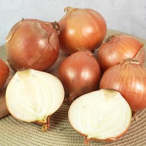 국내산 단단한 경남 햇 양파 10kg (대)