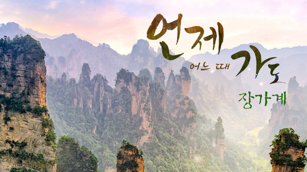 [참좋은여행] NO가이드/기사경비, NO선택관광 장가계 5일/6일