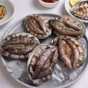 [맛잇다] 특허받은 진도 활전복 500g (7-8미)