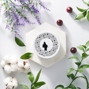 1+1 욕실의여왕 실내용 고체 탈취제(4종택1)