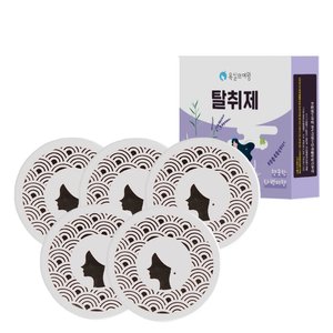 욕실의여왕 실내용 고체 탈취제 라벤더 5개