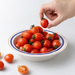 [JGR Fresh] 국내산 특품 방울토마토 중과 5kg