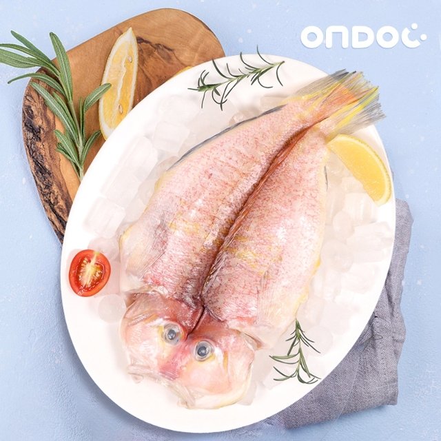[온도씨]제주 옥돔 특대 1마리(팩당330g내외)