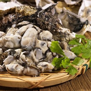 최상급 선별한 깐굴 통영 생굴 1kg