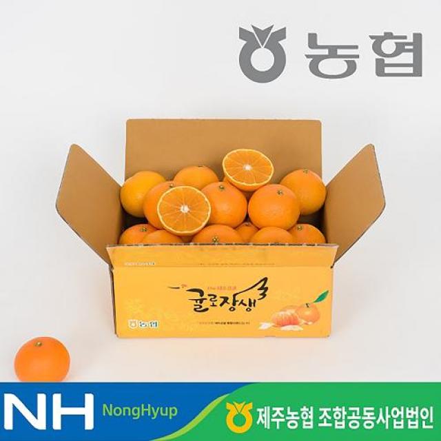 24년 햇 제주농협 황금향 4kg