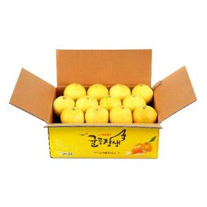 24년 햇 제주농협 황금향 4kg