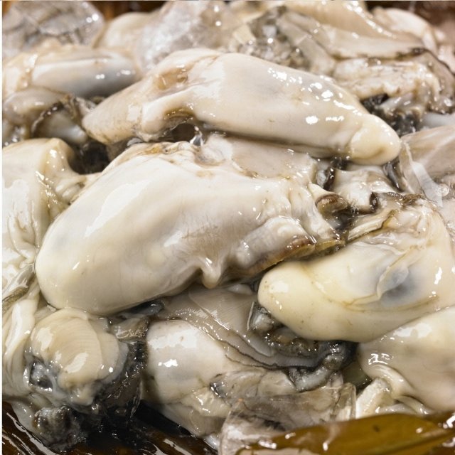최상급 선별한 깐굴 통영 생굴 2kg