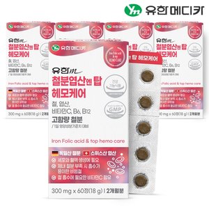 [유한메디카] 철분 엽산 엔 탑 헤모케어 60정x6개(12개월분)