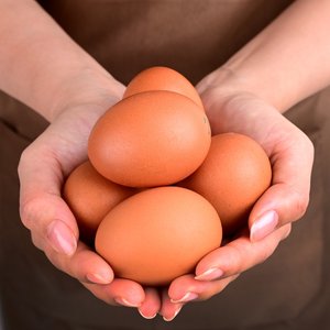 무항생제 신선계란 초란 60구/당일생산출고 청라상회계란