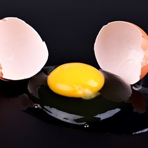 무항생제 신선계란 초란 60구/당일생산출고 청라상회계란