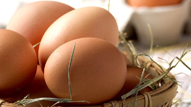 무항생제 신선계란 초란 60구/당일생산출고 청라상회계란