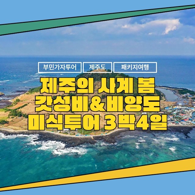 [부민가자투어] 제주의사계(봄) 갓성비+미식투어
