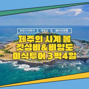 [부민가자투어] 제주의사계(봄) 갓성비+미식투어