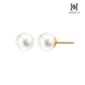 [골드앤] 14K 심플 진주 6mm 귀걸이 YG