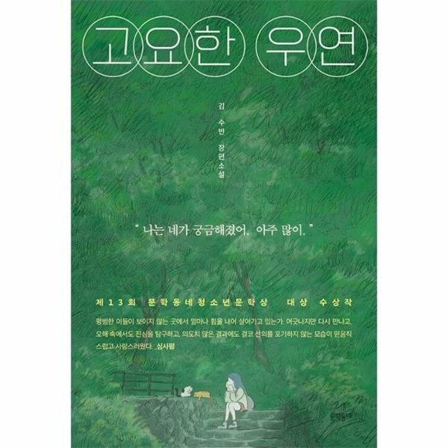 고요한 우연 - 제13회 문학동네청소년문학상 대상 수상작 - 문학동네 청소년 63